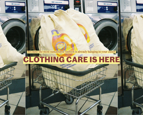 The Nest in Providence, RI - photo 2