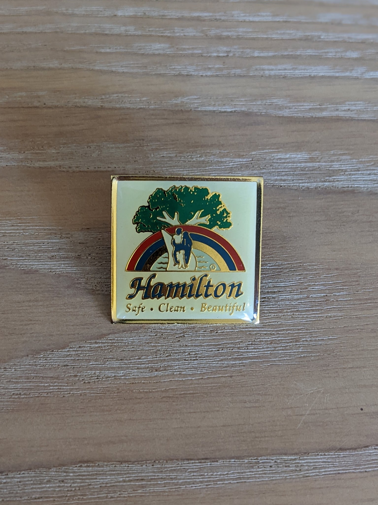 'Hamilton' Rainbow Pin